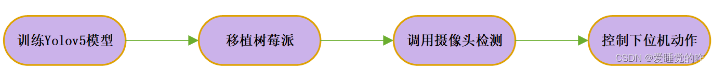 Implementing Object Detection with Yolov5 on Raspberry Pi
