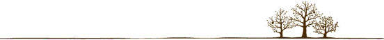 Essential PCB Design Experience