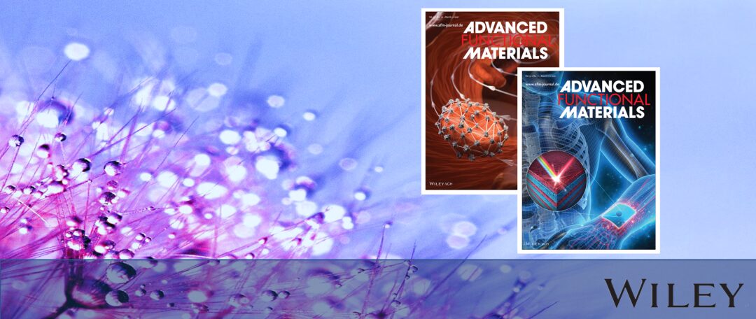Exploring Electron Spin Polarization for Next-Gen Rechargeable Battery Innovation