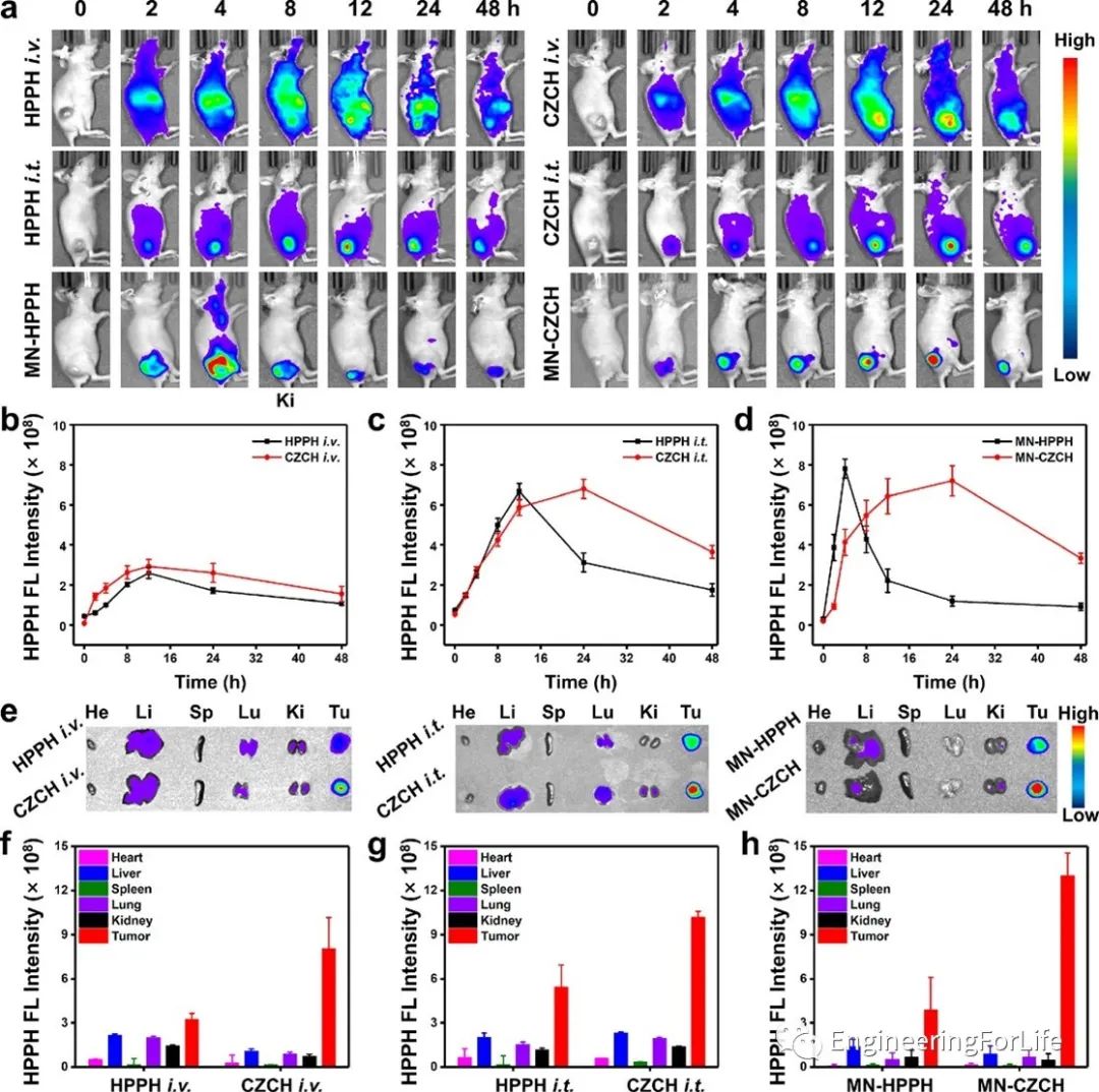 Self-Oxygenating & Glutathione-Depleting Microneedle Patch for Photodynamic Therapy of Tumors