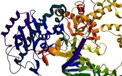 Key Points of DNA Methylation (BSP MSP) Technology