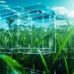 Providing Sufficient Energy for Tomorrow: IoT Energy Harvesting