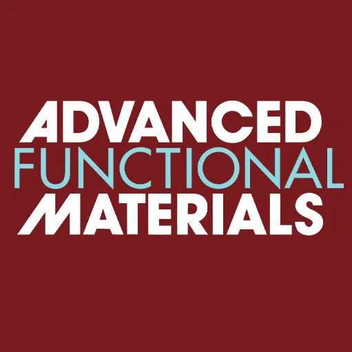 How Dipole Moment Affects Lithium Metal Anodes