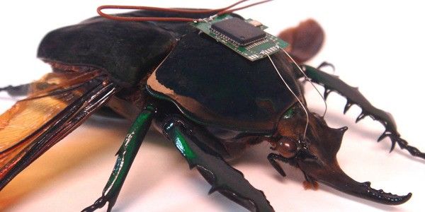 Micro Robots and Their Capabilities