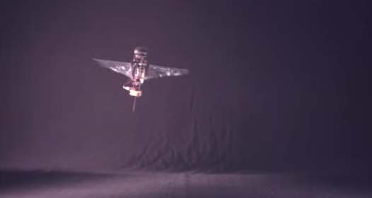 Inspired by Rhinoceros Beetles, Scientists Develop New Flapping Microrobot