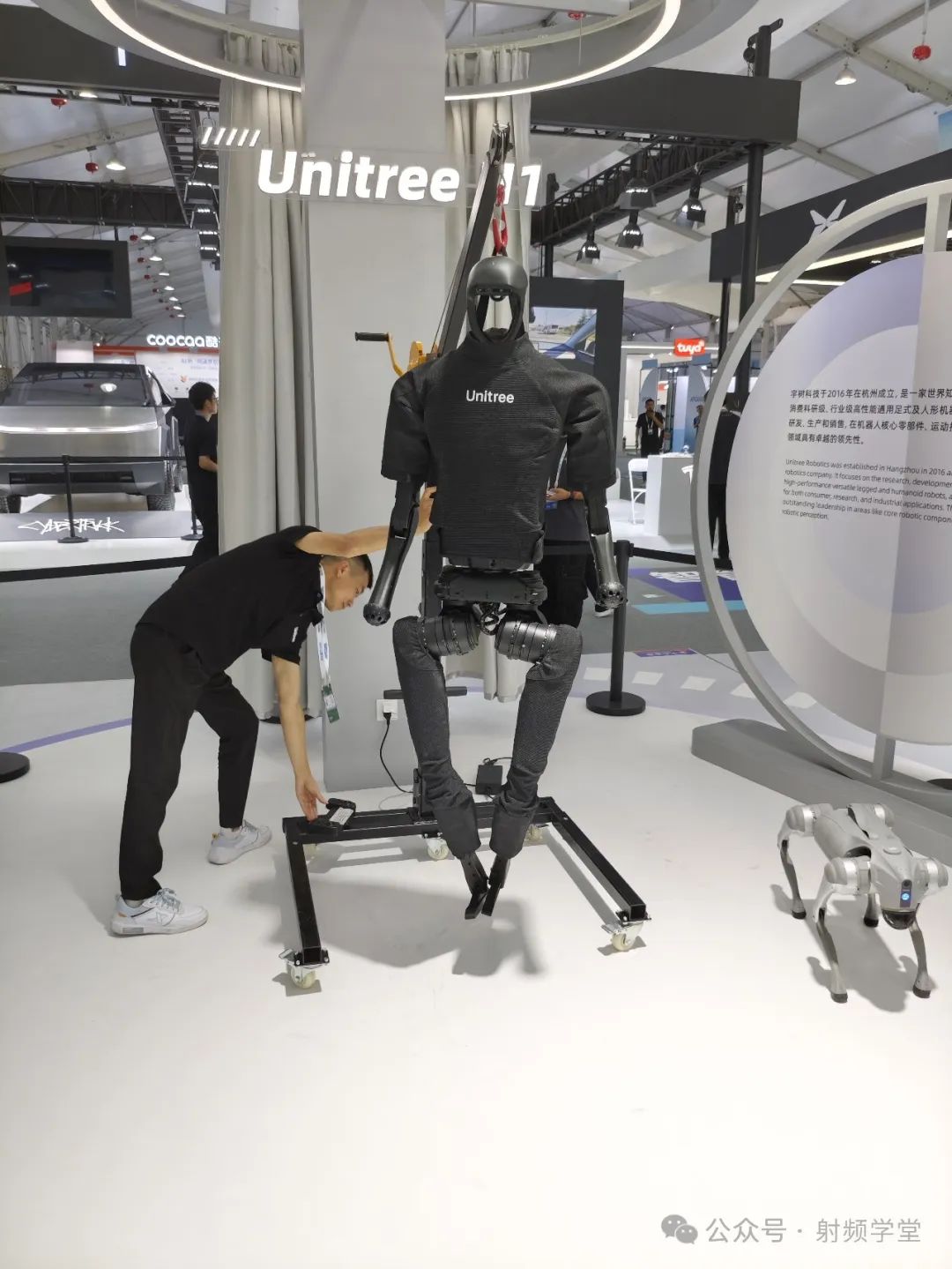 RF Modules in Humanoid Robots: An Overview