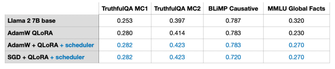 Cost-Effective Fine-Tuning with LoRA