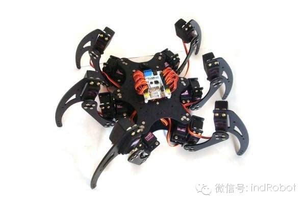 Exploring Beautiful and Adorable Bionic Robots