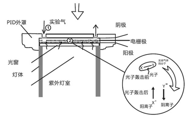 In-Depth Analysis of Various Gas Sensors