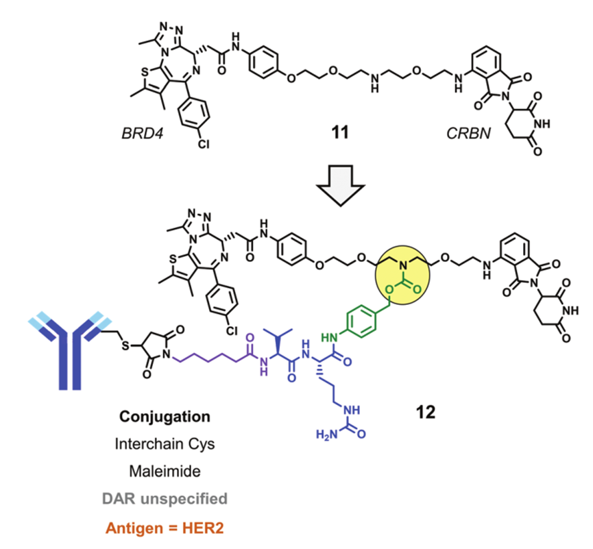 Understanding DAC Design Points and Representative Cases in PROTAC