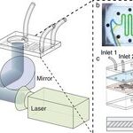 Light-Cured Bio 3D Printing: From Materials to Parameters to Applications