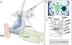 Light-Cured Bio 3D Printing: From Materials to Parameters to Applications