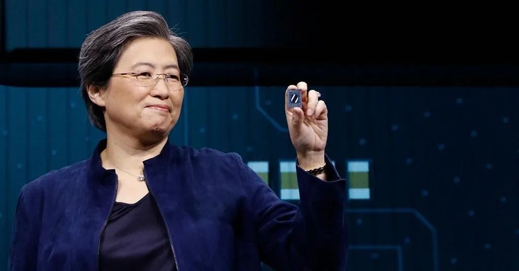 The Rise and Fall of a Domestic CPU: A Case Study