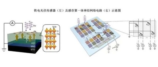 Integrated Ferroelectric Photovoltaic Sensor Network for Zero-Energy Image Perception