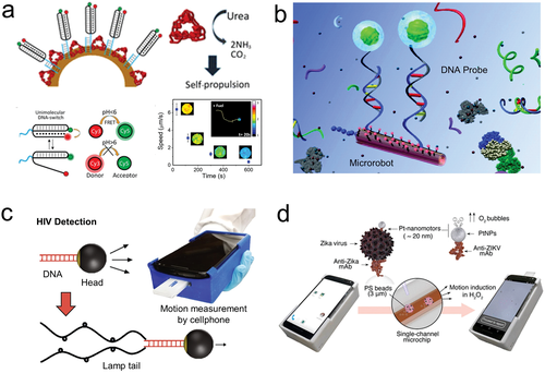 Review: Medical Micro/Nanorobots in Precision Medicine