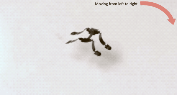 Micro Robots: The Cutting-Edge Technology