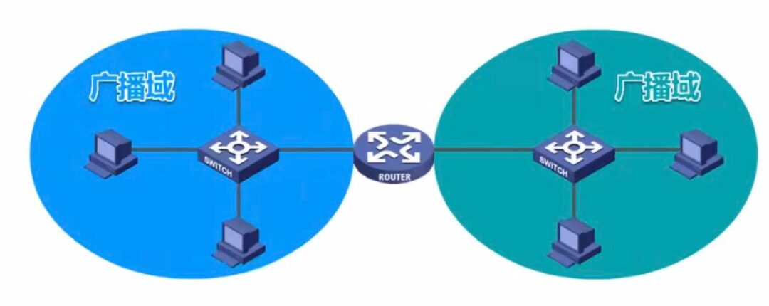 Understanding Enterprise Switch Networking: Basic Concepts