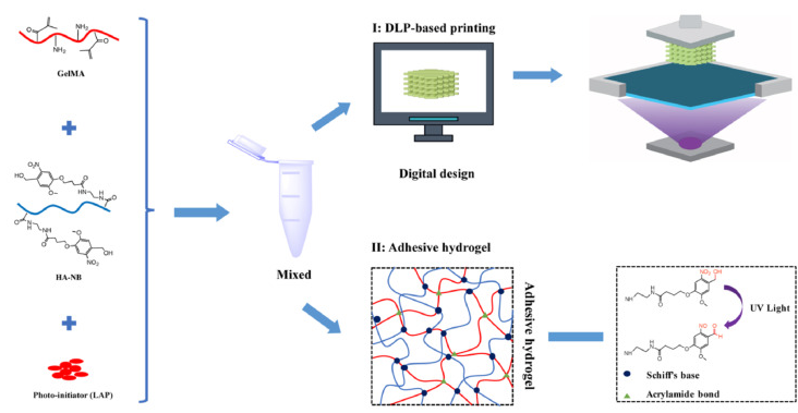 Light-Cured Bio 3D Printing: From Materials to Parameters to Applications