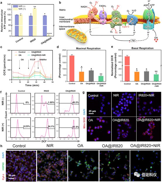 Monitoring Pyroptosis in B16 Cells Using Holographic 3D Imaging