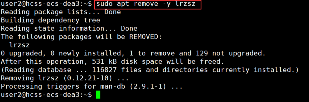 Essential Guide for Linux Beginners: Software Installation and Vim Mastery