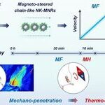 Dual Frequency-Regulated Magnetic Vortex Nanorobots for Thrombolysis