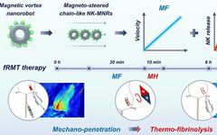 Dual Frequency-Regulated Magnetic Vortex Nanorobots for Thrombolysis