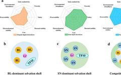 Competitive Solvation of Ternary Eutectic Electrolytes