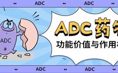 Understanding ADC Drugs: A Visual Guide