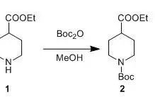 Protection of Amines with Boc Group