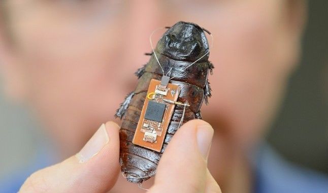 Micro Robots and Their Capabilities
