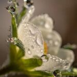 Zephyr Kernel Data Structures - Ring Buffer