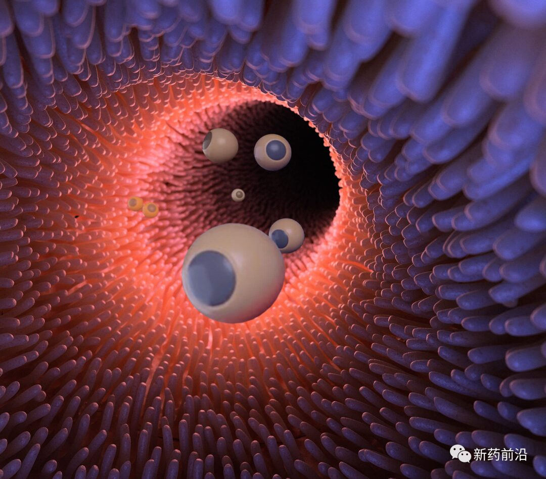 Sperm, Bacteria, Bubbles, and Bioastronauts: Microbots to Combat Cancer