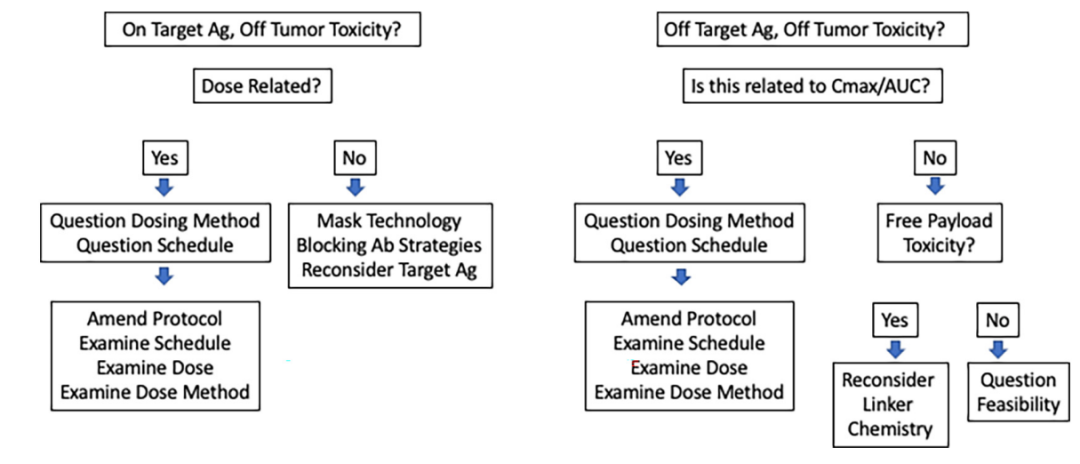 Lessons Learned in ADC Clinical Development