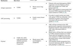 An In-Depth Analysis of ADC Drug Resistance Mechanisms