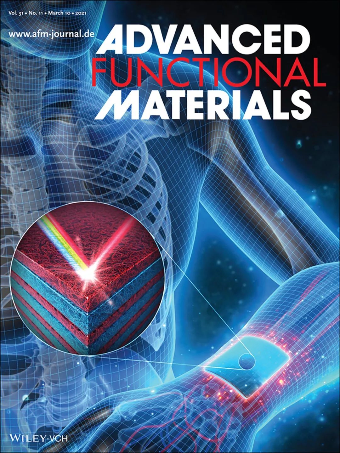 Exploring Electron Spin Polarization for Next-Gen Rechargeable Battery Innovation