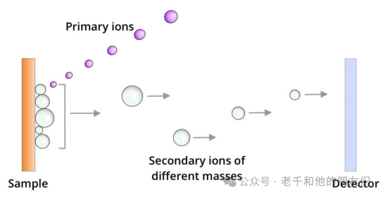 Interpretation of Time-of-Flight Secondary Ion Mass Spectrometry (ToF-SIMS) Technology