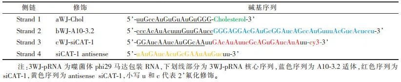 Consensus on RNA Genetic Modification for siRNA Delivery Using Negative-Charged Nano-Ultrasound Contrast Agents