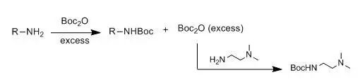 Protection of Amines with Boc Group