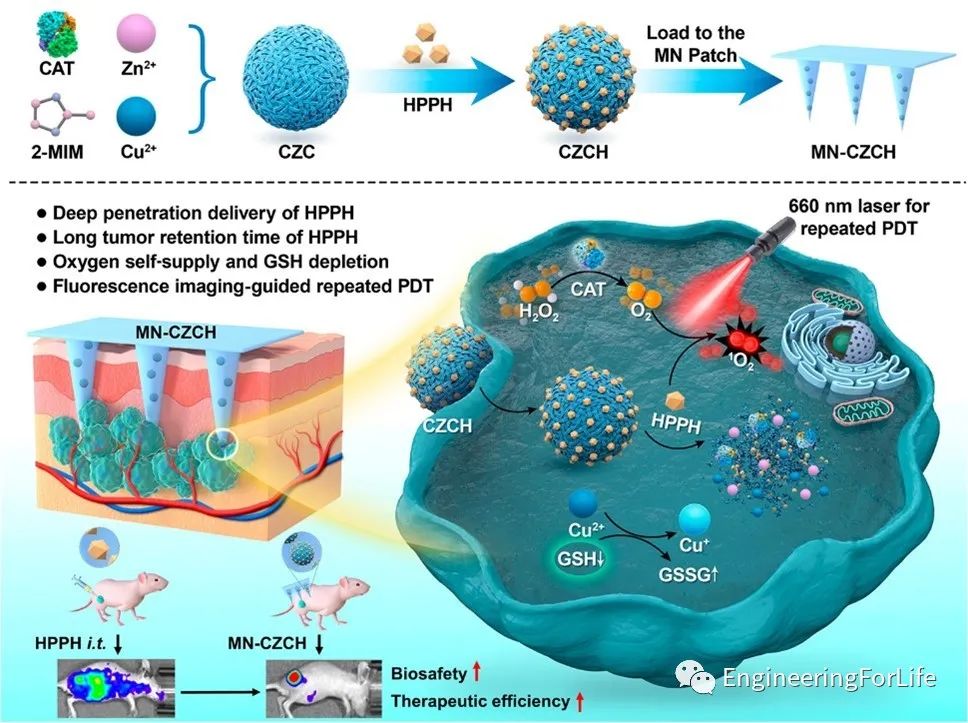 Self-Oxygenating & Glutathione-Depleting Microneedle Patch for Photodynamic Therapy of Tumors