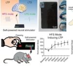 Bidirectional Regulation of Neural Plasticity Using Self-Powered Devices