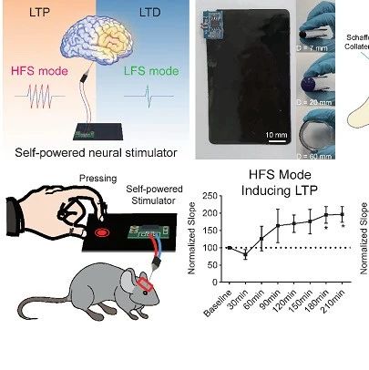 Bidirectional Regulation of Neural Plasticity Using Self-Powered Devices