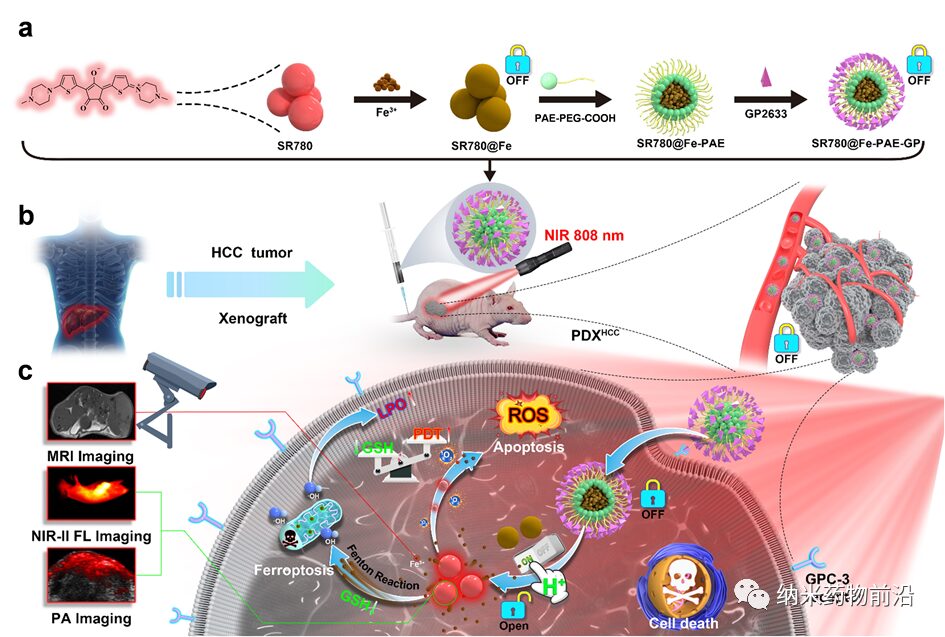 pH-Activated Nanoplatform for Tumor Therapy