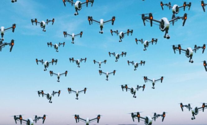 Unveiling Low-Altitude Flight: Drones, Self-Organizing Networks, and Pilots
