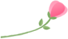 Effects of Peony Flower Stamen Protein on Dough and Gluten Properties