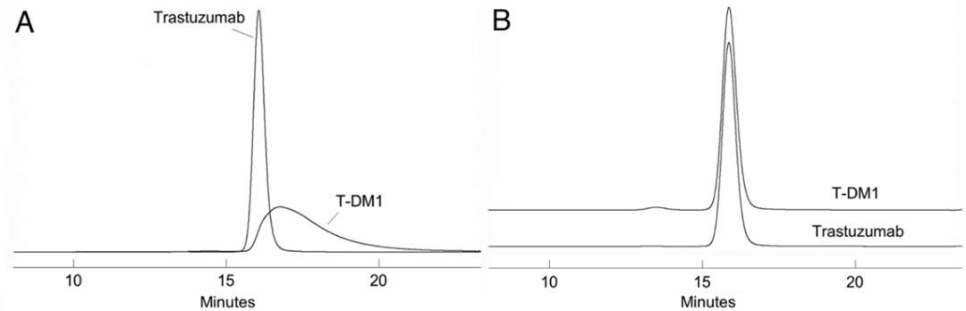Physicochemical Analysis and Structural Characterization of Antibody-Drug Conjugates (ADCs)
