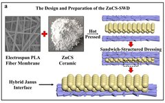 Bioactive Zn-Si Bioceramic Composite Dressing for Skin Burn Healing