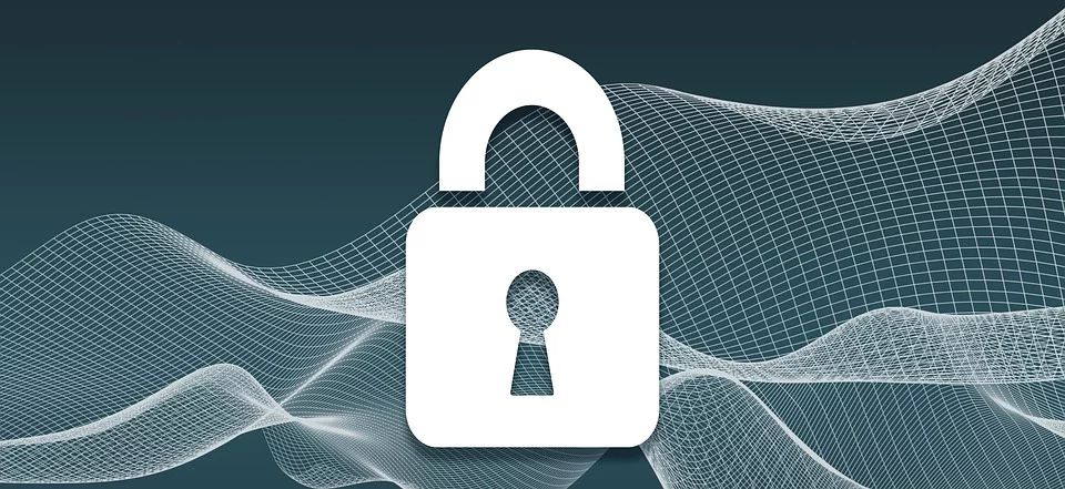 MQTT Protocol Analysis of Himqtt Source Code