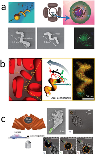 Review: Medical Micro/Nanorobots in Precision Medicine