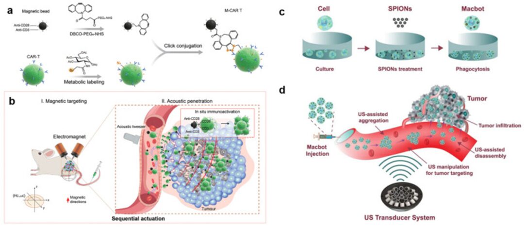 Acoustic Actuators for Micro/Nanorobot Manipulation: Current and Future Perspectives