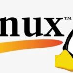 Comprehensive Guide to Common Linux Commands